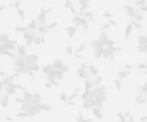 modulo9/greyfloral.png