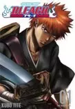 bleach manga.jpg
