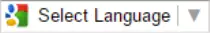 img/dump/Google_Tran.png