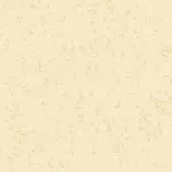old_map_@2X.png