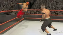 WWE.jpeg