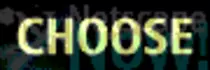 images/netscape_now_anim.gif