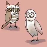 img/originals/OWLS.png