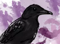 img/originals/crow.png