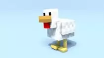 pic.jpg