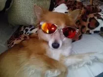 Ejercicio P2P opcional2.3/Sophie.jpeg
