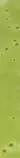 background1.jpg