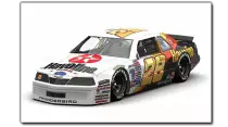 aerocupcar.png