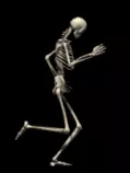 images/animated-skeleton.gif