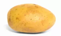 Algo.jpeg