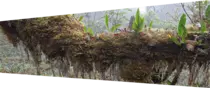 paisajes/paisajes-mateo/imagenes/qwe.png