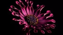 images/slider/your_image1.jpg