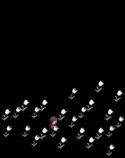 flowersagain.gif