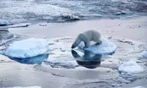 globalwarm.jpeg