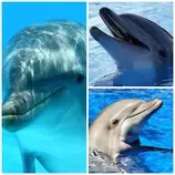 PicMonkey Collage.jpg