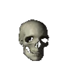 skull.gif