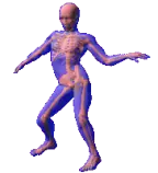 images/skeletonman.gif