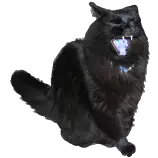 midnight.gif