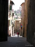 week5/photos/sienna.jpg