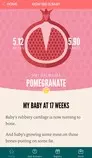 photos/pomegranate.jpg