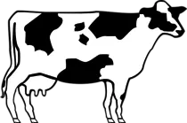 imgs/logo.png