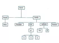 arbol.jpg