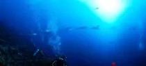 water03.jpg