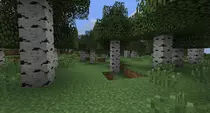 2013-11-06_10.31.40.png