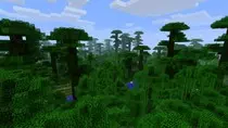 Minecraft-jungle-shot (1).jpg