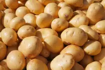 potato.jpg