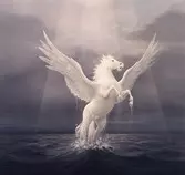 images/2s.jpg