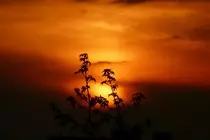 Monica Gerlach2/Monica Second website/sunset.jpg