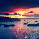 Images/landscape-img.jpg