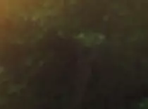 puzzle1_E.jpg