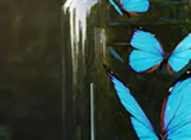 puzzle1_N.jpg
