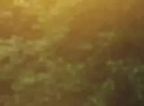 puzzle1_O.jpg