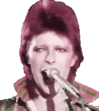 bowie.gif