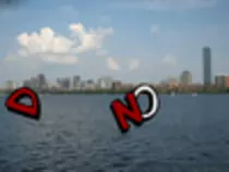 541.png