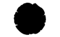 images/darkness.gif