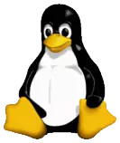 P2P_Obligatorio_2/images/Tux.png