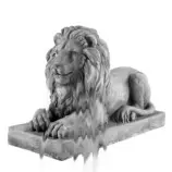 lion.jpg