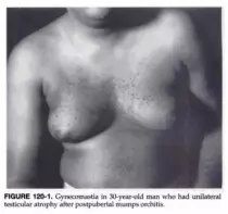 img/fig120-1.png