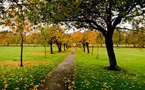 pages/p2p/M2_p2p_opcional_3/four_seasons_1.jpg