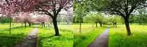 pages/p2p/M2_p2p_opcional_3/four_seasons_2.jpg