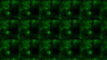 BG.gif