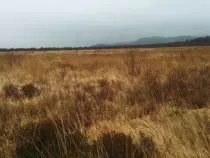 images/landcover/fieldwork/I3b.jpg