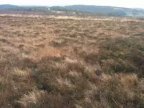 images/landcover/fieldwork/I4b.jpg