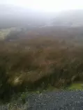 images/landcover/fieldwork/I5a.jpg
