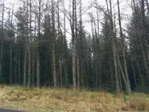 images/landcover/fieldwork/I6b.jpg