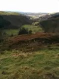 images/landcover/fieldwork/I8b.jpg